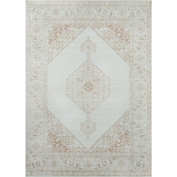 ECARPET Maude Brown Traditional Rectangular Polyester Medallion Area Rug - 9 x 12-ft