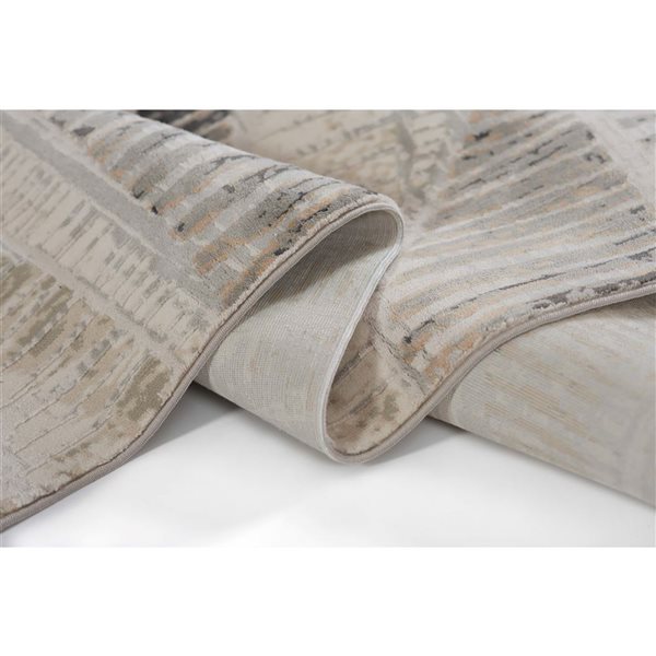 ECARPET Briar Grey Contemporary Rectangle Polyester Abstract Area Rug - 5 x 7-ft