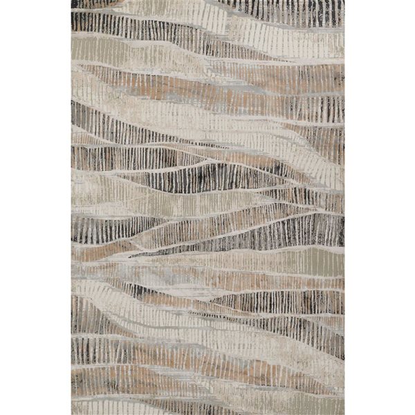 ECARPET Briar Grey Contemporary Rectangle Polyester Abstract Area Rug - 5 x 7-ft