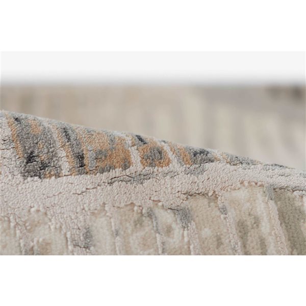 ECARPET Briar Grey Contemporary Rectangle Polyester Abstract Area Rug - 5 x 7-ft