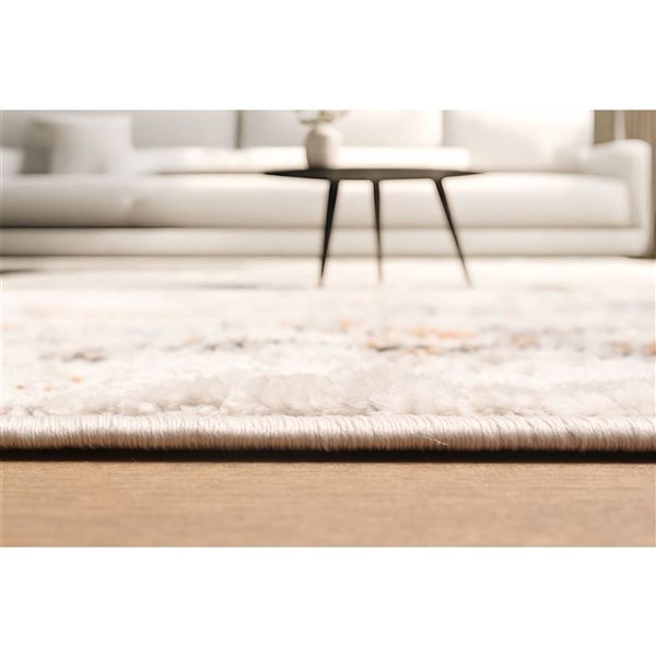 ECARPET Paradox Ivory Traditional Rectangular Polyester Abstract Area Rug - 8 x 10-ft