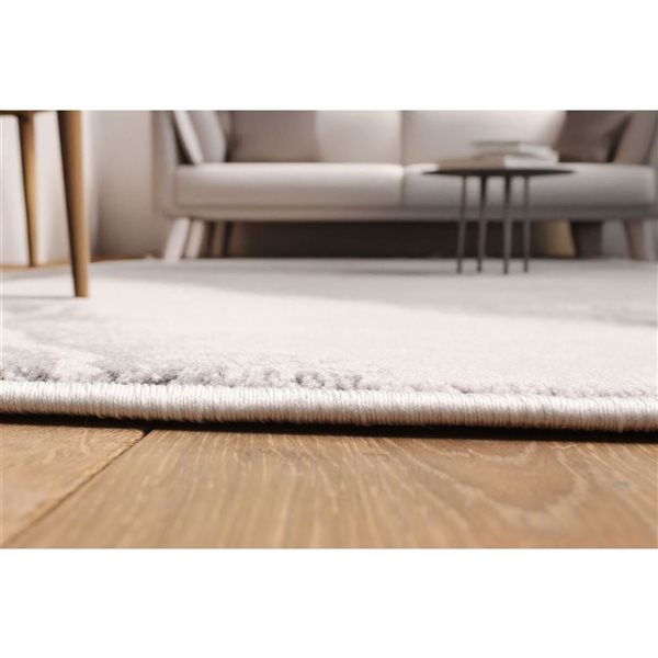 ECARPET Dove Grey Contemporary Rectangle Polyester Abstract Area Rug - 5 x 8-ft