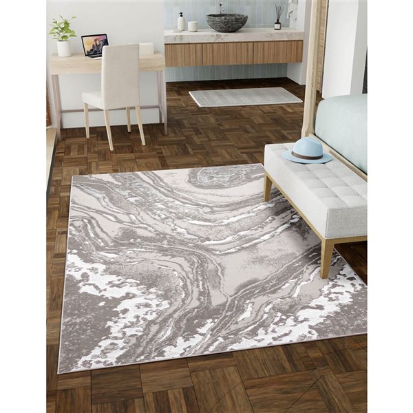 ECARPET Dove Grey Contemporary Rectangle Polyester Abstract Area Rug - 5 x 8-ft