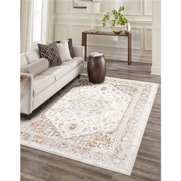 ECARPET Paradox Ivory Traditional Rectangular Polyester Abstract Area Rug - 5 x 8-ft