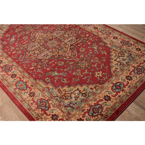 ECARPET Elara Red Traditional Rectangular Polypropylene Medallion Area Rug - 9 x 12-ft