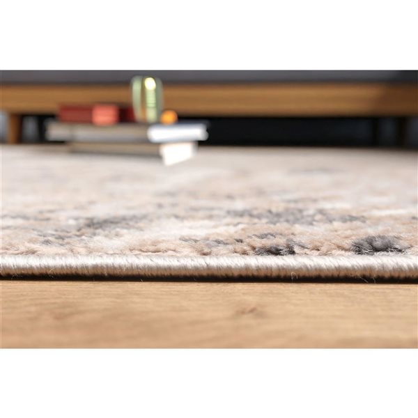 ECARPET Bronte Taupe Grey Contemporary Rectangle Polyester Abstract Area Rug - 5 x 8-ft