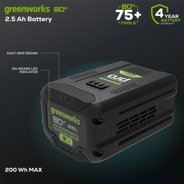 Greenworks 80 V 2.5 Rechargeable Lithium-Ion Battery