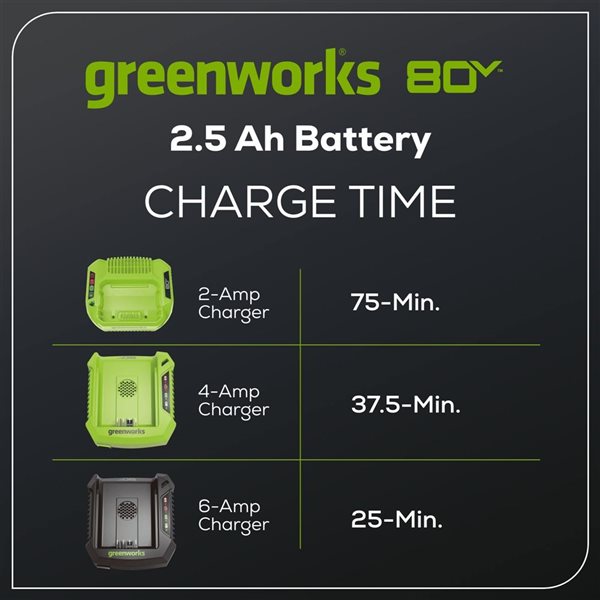 Greenworks 80 V 2.5 Rechargeable Lithium-Ion Battery