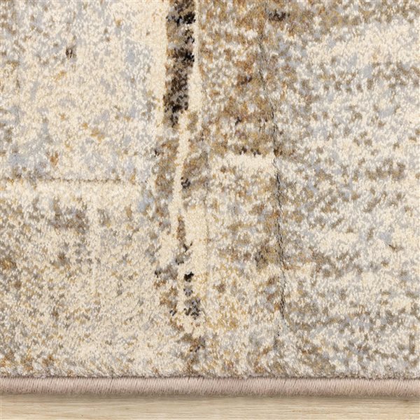 Rug Branch Aethera 5-ft x 8-ft Distressed Indoor Polypropylene Area Rug - Beige