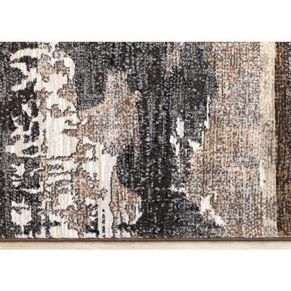 Rug Branch Aethera 5-ft x 8-ft Distressed Indoor Polypropylene Area Rug - Dark Grey