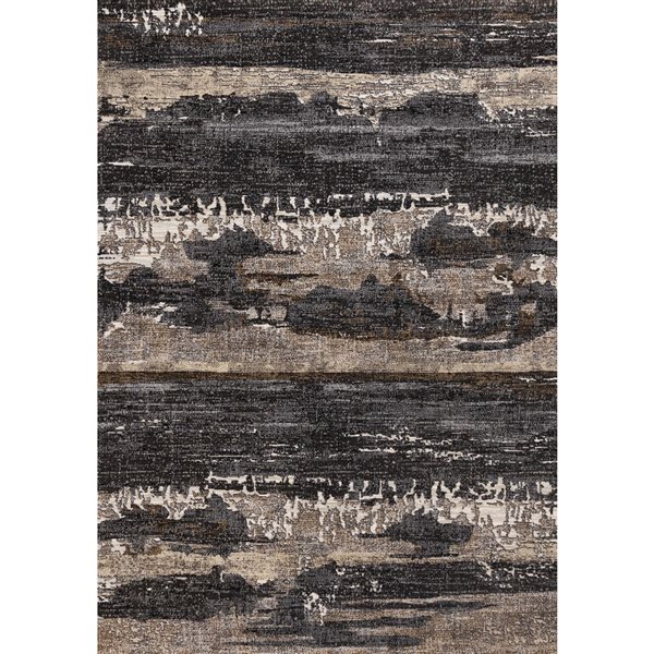 Rug Branch Aethera 5-ft x 8-ft Distressed Indoor Polypropylene Area Rug - Dark Grey