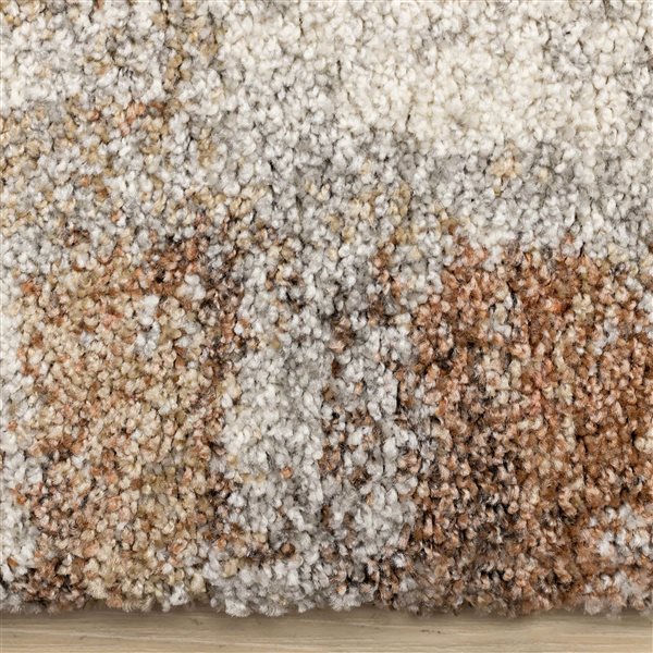 Rug Branch Botaniq 5-ft x 8-ft Distressed Indoor Polypropylene Area Rug - White