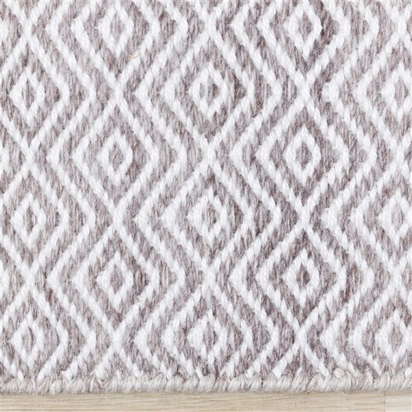 Rug Branch Cindara 5-ft x 8-ft Geometric Indoor Polyester Area Rug - Beige/White
