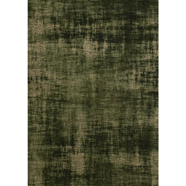 Rug Branch Lirien 5-ft x 8-ft Organic Indoor Acrylic Area Rug - Green