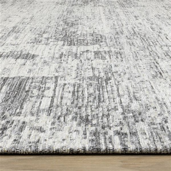 Rug Branch Lirien 5-ft x 8-ft Border Indoor Acrylic Area Rug - Grey