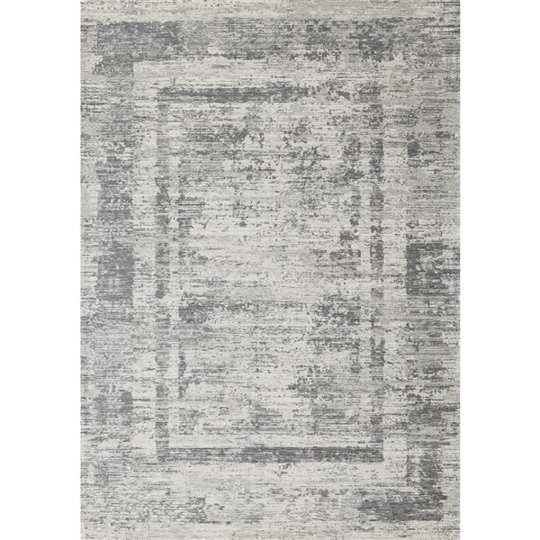 Rug Branch Lirien 5-ft x 8-ft Border Indoor Acrylic Area Rug - Grey