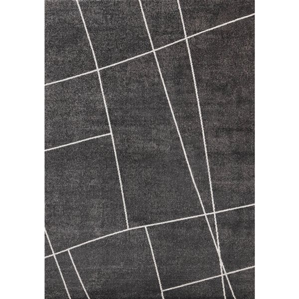Rug Branch Sereni 5-ft x 8-ft Geometric Indoor Polyester Area Rug - Dark Grey