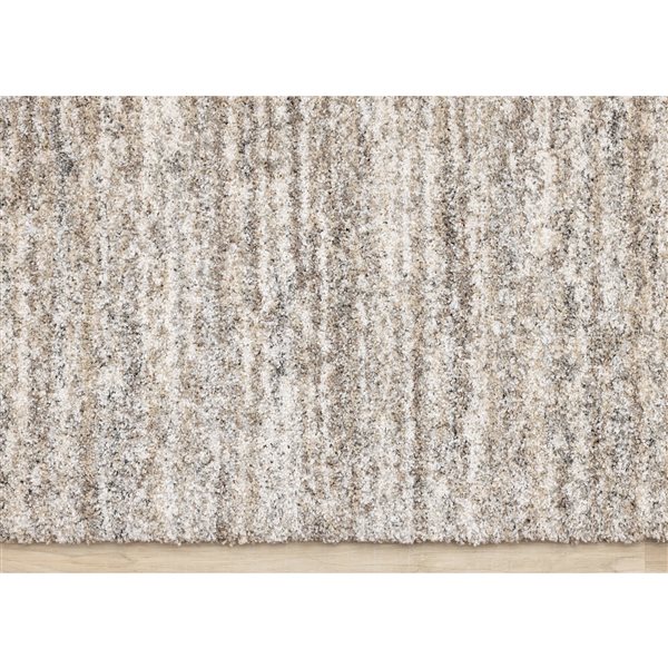 Rug Branch Botaniq 5-ft x 8-ft Distressed Indoor Polypropylene Area Rug - Grey