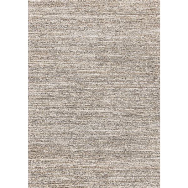 Rug Branch Botaniq 5-ft x 8-ft Distressed Indoor Polypropylene Area Rug - Grey