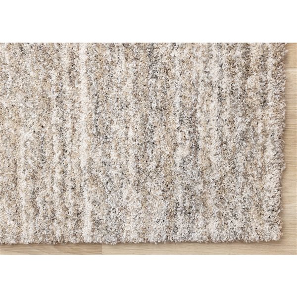 Rug Branch Botaniq 5-ft x 8-ft Distressed Indoor Polypropylene Area Rug - Grey