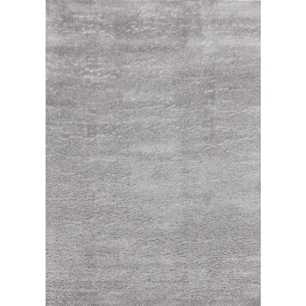 Rug Branch Marakai 4-ft x 6-ft Tonal/Solid Indoor Polypropylene Area Rug - Grey