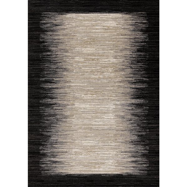 Front Facing Rug Rug Branch Aethera 5-ft x 8-ft Border Indoor Polypropylene Area Rug ...