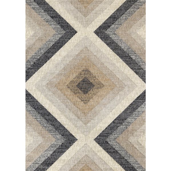 Rug Branch Cora 5-ft x 8-ft Geometric Indoor Polyester Area Rug - Grey