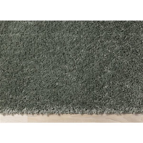 Rug Branch Marakai 4-ft x 6-ft Tonal/Solid Indoor Polypropylene Area Rug - Green