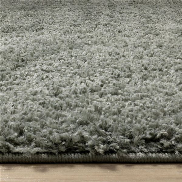 Rug Branch Marakai 4-ft x 6-ft Tonal/Solid Indoor Polypropylene Area Rug - Green
