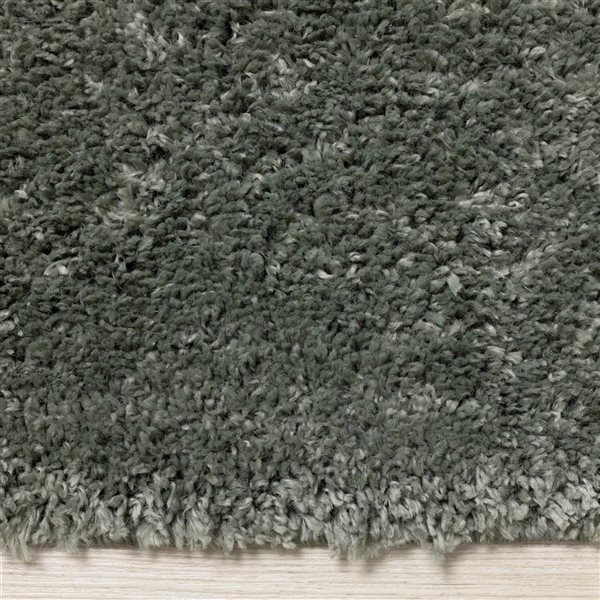 Rug Branch Marakai 4-ft x 6-ft Tonal/Solid Indoor Polypropylene Area Rug - Green