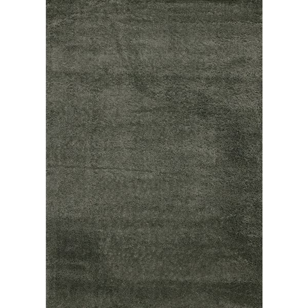 Rug Branch Marakai 4-ft x 6-ft Tonal/Solid Indoor Polypropylene Area Rug - Green