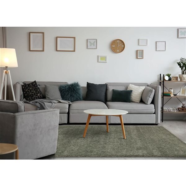 Rug Branch Marakai 4-ft x 6-ft Tonal/Solid Indoor Polypropylene Area Rug - Green