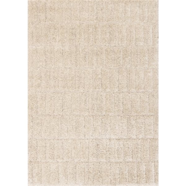 Front Facing Rug Rug Branch Noctis 5-ft x 8-ft Indoor Polypropylene Solid Area Rug ...