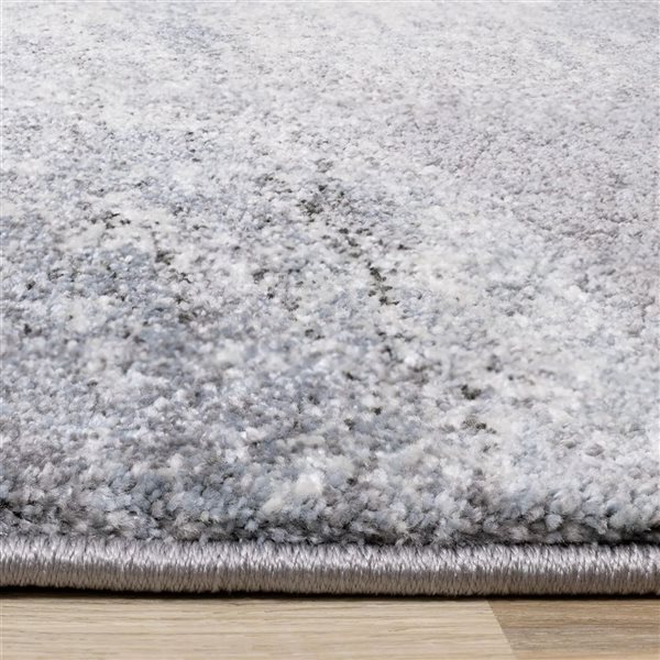 Rug Branch Eden 4-ft x 6-ft Distressed Indoor Polypropylene Area Rug - White