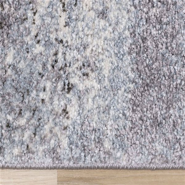 Rug Branch Eden 4-ft x 6-ft Distressed Indoor Polypropylene Area Rug - White