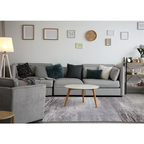 Rug Branch Eden 4-ft x 6-ft Distressed Indoor Polypropylene Area Rug - White