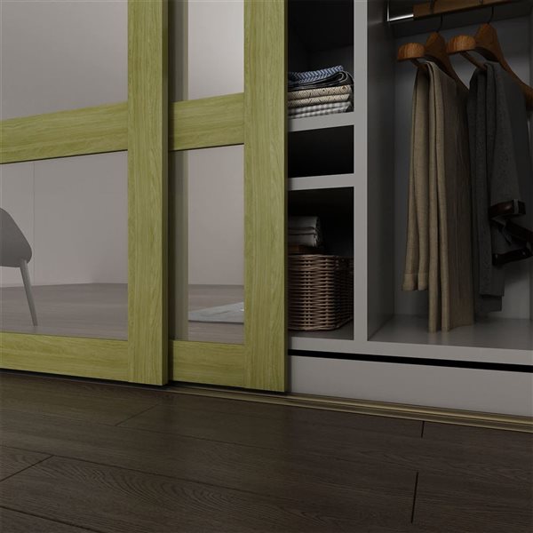 Landon & Co. 48 x 80-1/2-in Sesame 4-Lite Clear Mirror Sliding Door