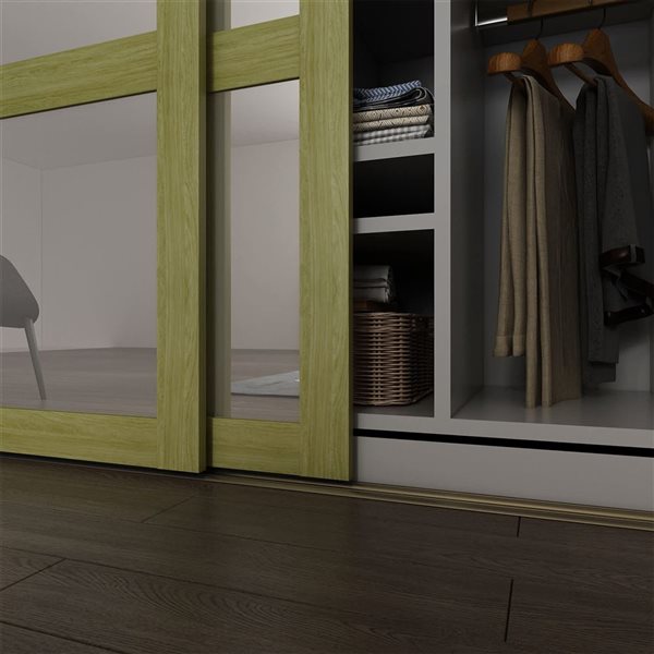 Landon & Co. 48 x 80-1/2-in Sesame 3-Lite Clear Mirror Sliding Door