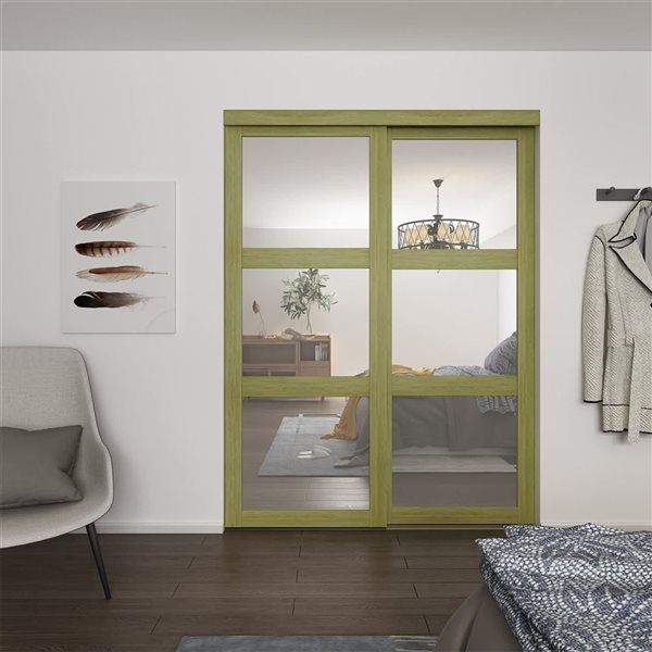 Landon & Co. 48 x 80-1/2-in Sesame 3-Lite Clear Mirror Sliding Door