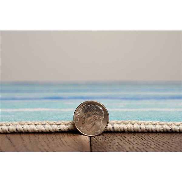 Linon Home Décor Janna Ivory & Blue 5 x 7-ft Washable Area Rug