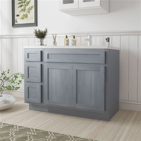Vanity Art 51 x 21 x 32.5-in Freestanding Bath Vanity Oak Cabinet without Top - Silver