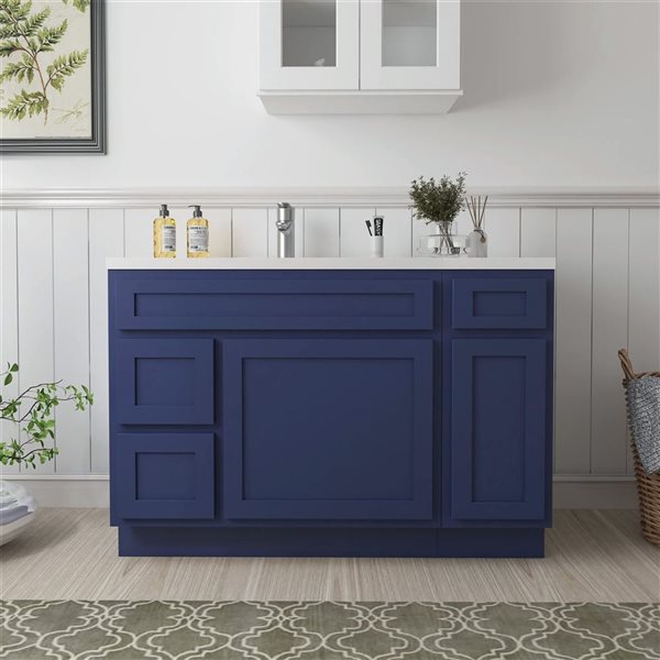 Vanity Art 48 x 21 x 32.5-in Freestanding 2-Left Drawer Bath Vanity Oak Cabinet without Top - Blue