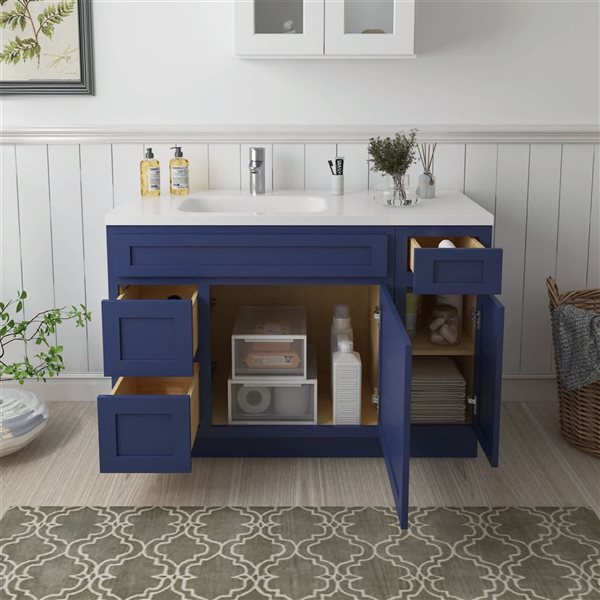 Vanity Art 48 x 21 x 32.5-in Freestanding 2-Left Drawer Bath Vanity Oak Cabinet without Top - Blue