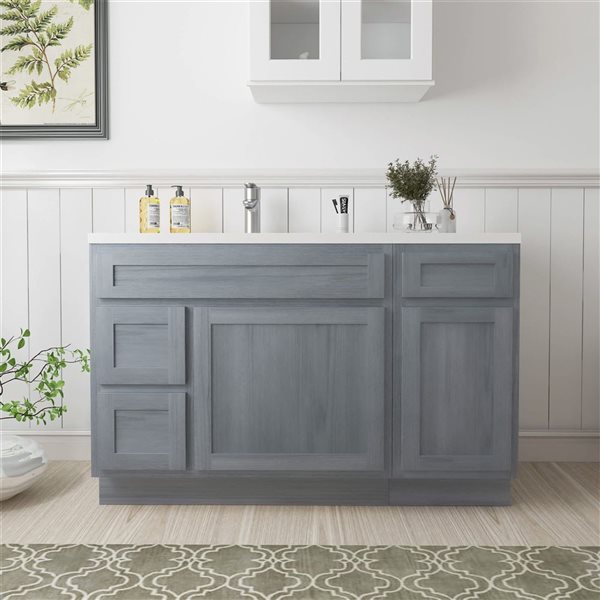Vanity Art 51 x 21 x 32.5-in Freestanding 2-Left Drawer Bath Vanity Oak Cabinet without Top - Silver