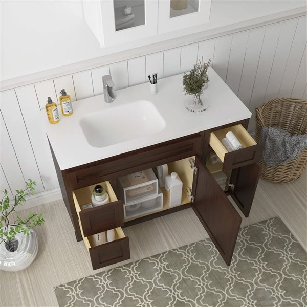 Vanity Art 48 x 21 x 32.5-in Freestanding 2-Left Drawer Bath Vanity Oak Cabinet without Top - Brown