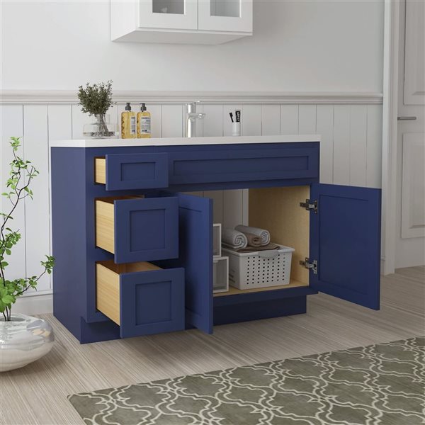 Vanity Art 48 x 21 x 32.5-in Freestanding Bath Vanity Oak Cabinet without Top - Blue