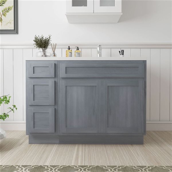 Vanity Art 48 x 21 x 32.5-in Freestanding Bath Vanity Oak Cabinet without Top - Silver