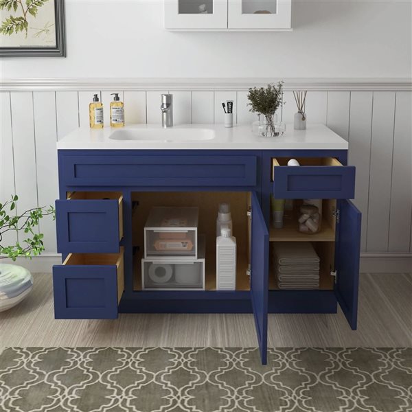 Vanity Art 51 x 21 x 32.5-in Freestanding 2-Left Drawer Bath Vanity Oak Cabinet without Top - Blue