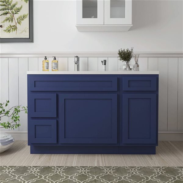 Vanity Art 51 x 21 x 32.5-in Freestanding 2-Left Drawer Bath Vanity Oak Cabinet without Top - Blue