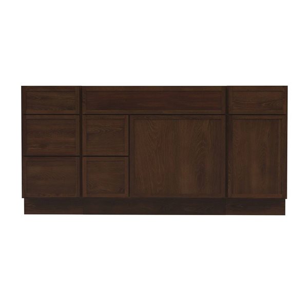 Vanity Art 66-in W x 21-in D x 32.5-in Freestanding 2-Left-Drawer Bath Vanity Birch Cabinet without Top - Brown